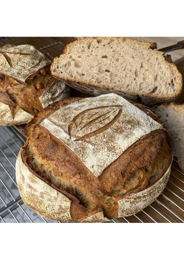 Tourte T80